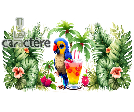Banque d'image Drink Été 35